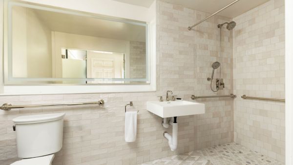 The image shows an accessible bathroom with a toilet, wall-mounted sink, and a walk-in shower, all equipped with support rails.