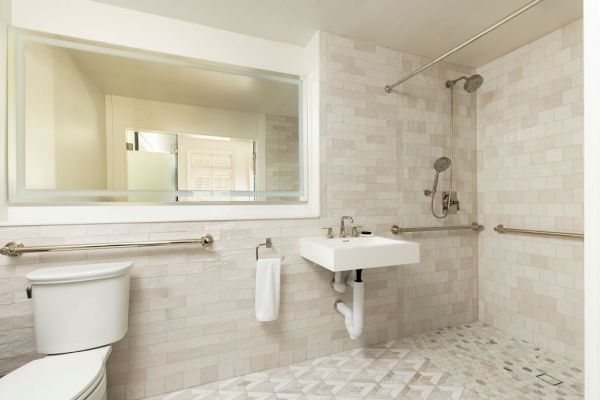 The image shows an accessible bathroom with a toilet, wall-mounted sink, and a walk-in shower, all equipped with support rails.