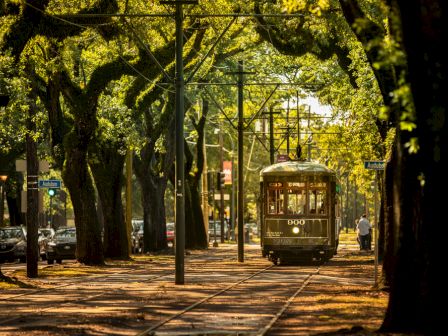 A vintage streetcar travels down a tree-lined track, surrounded by lush greenery and dappled sunlight, creating a serene urban scene.
