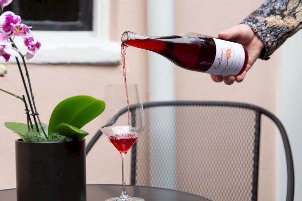 A person is pouring red wine into a glass on a black metal table next to a small orchid plant, with a window in the background.