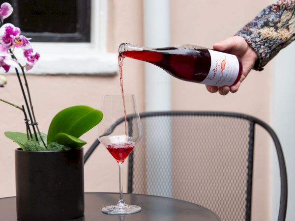 A person is pouring red wine into a glass on a black metal table next to a small orchid plant, with a window in the background.