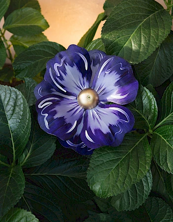 A striking purple-blue flower with white veining sits at the center, surrounded by glossy green leaves. It&rsquo;s perched against a warm, peachy background.