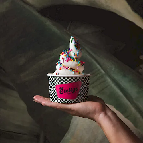Hand holds a small cup of frosted dough balls/ice-cream topped with colorful sprinkles from J. Elly&rsquo;s, on a couch.